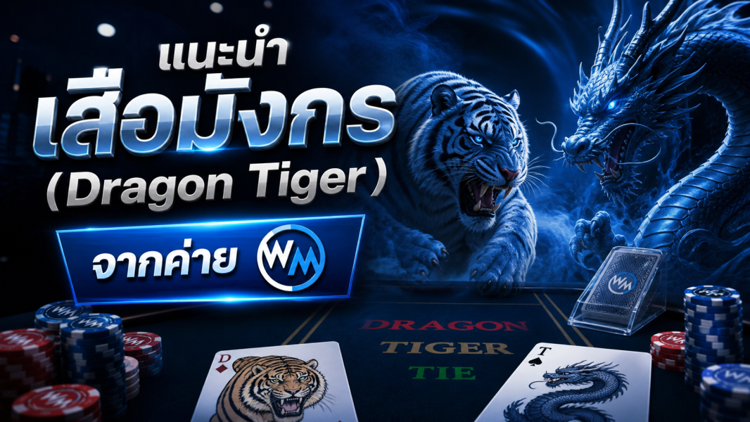 แนะนำเสือมังกร Dragon Tiger จากค่าย WM ปี 2026 รู้กติกา วิธีเล่น และความเสี่ยงก่อนตัดสินใจ